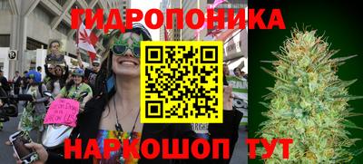 не бодяженный Бердск