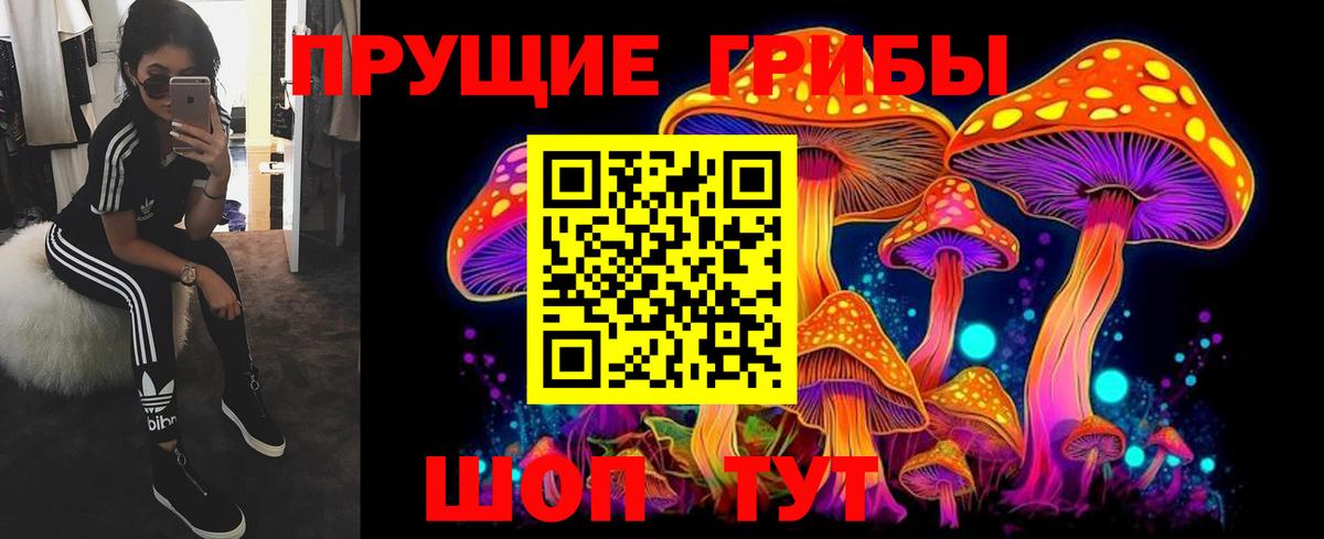 наркотики  Вход с VPN  Аргун  Псилоцибиновые грибы мухоморы 